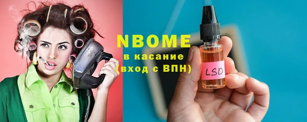 хмурый Алзамай
